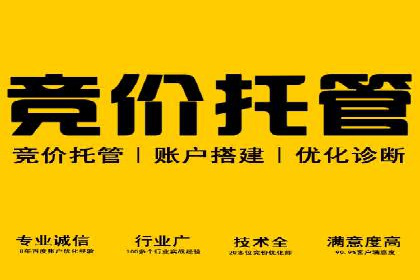 百度推广平台案例分享：助力企业品牌腾飞